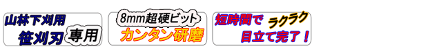 N-特長ロゴ